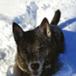 Meet your Posher, Keith